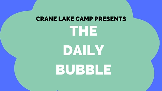 Daily Bubble 2016
