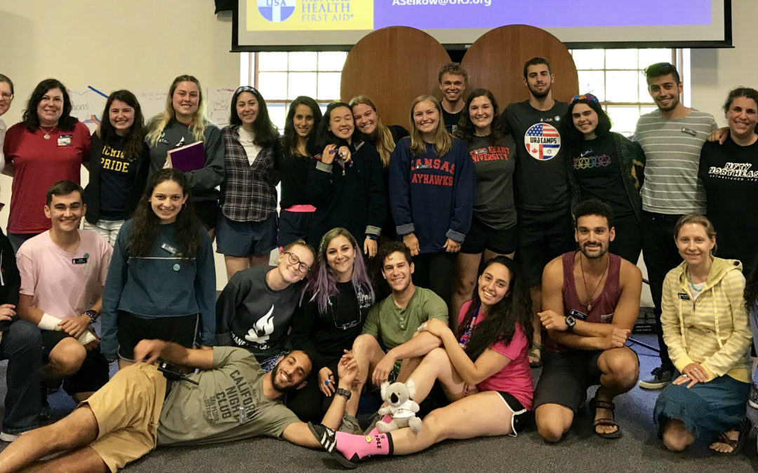 Supporting Campers’ Social-Emotional Needs: Youth Mental Health First Aid Training